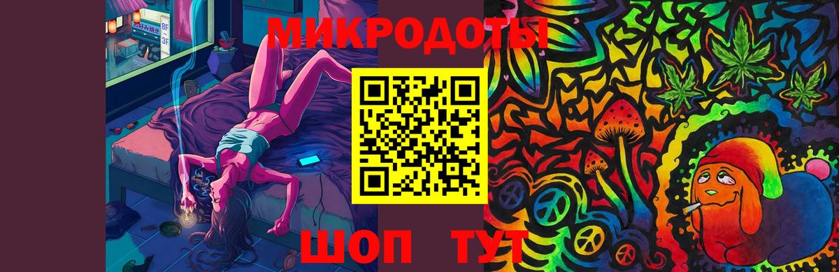 Псилоцибиновые грибы Psilocybe Ульяновск