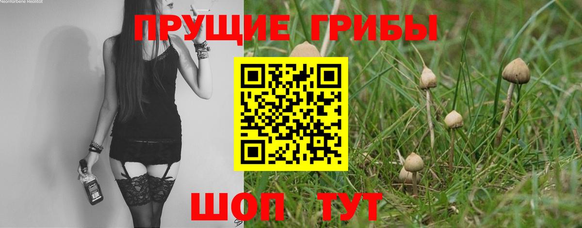 Ульяновск  Псилоцибиновые грибы прущие грибы  Галлюциногенные грибы мицелий  дарнет шоп  Вход с VPN 